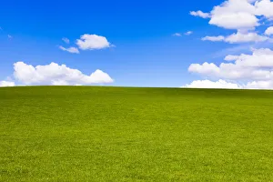 Green Colour Prints: Green field in Perthshire, Scotland, United Kingdom, Europe