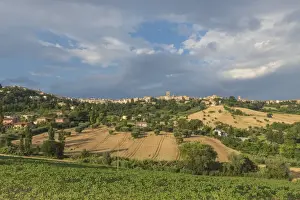 Marche Prints: The green fields of countryside around the medieval hill town of Recanati