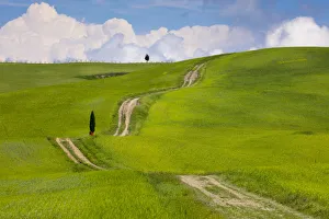 Green Colour Prints: Green fields, Cypress trees and blue sky in Val d Orcia, UNESCO World Heritage Site