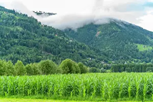 Salzburg Prints: Green fields and mountains under cloudy sky near Kaprun in summer season in Salzburg region of Austria