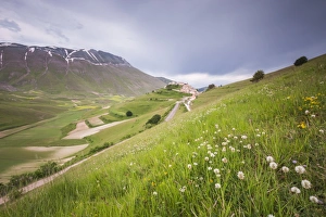 Wild Flower Prints: The green hills in bloom frame the medieval village