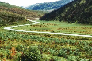 Romania Prints: Green hills and winding road in mountainous region with vegetation in Romania during daylight