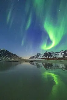 Flakstad Prints: Green lights of Aurora Borealis (Northern Lights) reflected in the cold sea