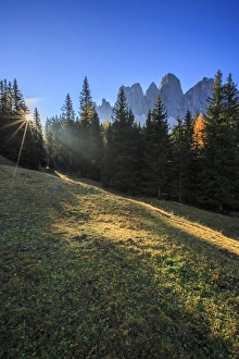 Odle Prints: Green meadows and colorful woods in autumn frame the Odle, Malga Zannes, Funes Valley