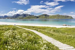 Ramberg Prints: Green meadows and flowers surrounded by turquoise sea and fine sand