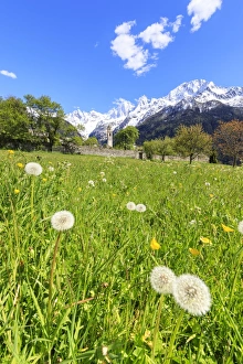 Soglio Prints: Green meadows frame the church of Soglio in spring, Maloja, Bregaglia Valley, Engadine