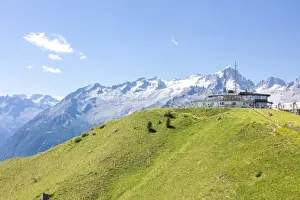 Refuge Prints: Green meadows and rocky peaks frame the Rifugio Doss Del Sabion, Pinzolo, Brenta Dolomites
