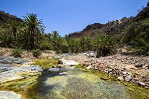 Yemen Prints: Very green pond in a valley in the Dixsam plateau on the island of Socotra