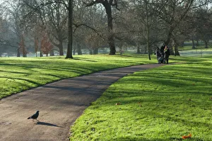Footpath Prints: Green sunlight, Green Park, London, England, United Kingdom, Europe