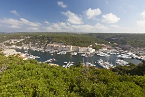 Green vegetation frames the medieval town and harbour, Bonifacio, Corsica, France