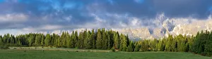 Mountain Ranges Prints: Green woods and pastures of Malga Nemes at sunrise in summer, Sesto (Sexten)