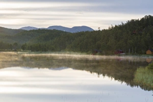 Nordland Prints: Green woods are reflected in the calm water of a swamp at night