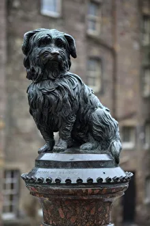 Edinburgh Prints: Greyfriars Bobby, Edinburgh, Lothian, Scotland, United Kingdom, Europe