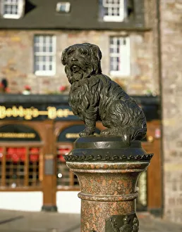 Images Dated 25th February 2008: Greyfriars Bobby, Edinburgh, Scotland, United Kingdom, Europe