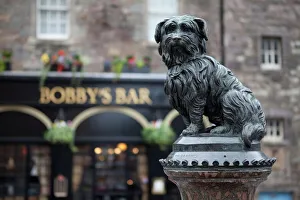 Edinburgh Prints: Greyfriars Bobby, Edinburgh, Scotland, United Kingdom, Europe