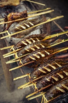 Stick Prints: Grilled fish, Luang Prabang, Laos, Indochina, Southeast Asia, Asia