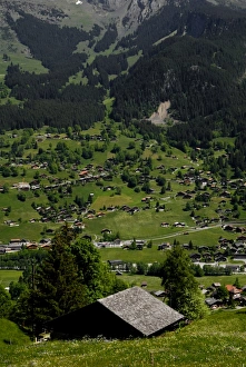 Grindelwald Prints: Grindelwald viewed from train to Kleine Scheidegg