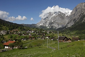 Grindelwald and Wetterhorn, Bernese Oberland, Swiss Alps, Switzerland, Europe
