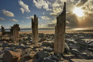 United Prints: Groynes on the beach at Crow Point during sunset in Devon, Great Britain