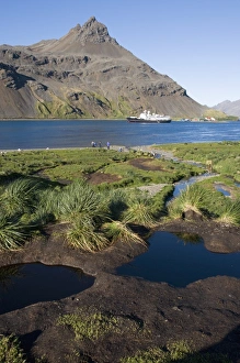 Images Dated 26th February 2009: Grytviken, South Georgia, South Atlantic