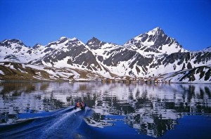Grytviken Prints: Grytviken whaling station
