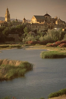 Alcazar Prints: The Guadalquivir River and Alcazar