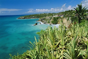 French Antilles Prints: Guadeloupe