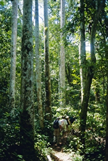 Back Pack Prints: Guanayana Park, Cuba