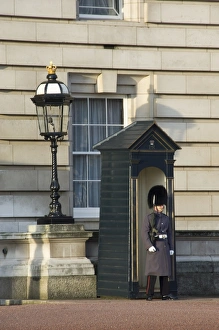 Guardsman Prints: Guardsman, Buckingham Palace, London, England, United Kingdom, Europe