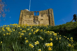 Guildford Castle, Guildford, Surrey, England, United Kingdom, Europe