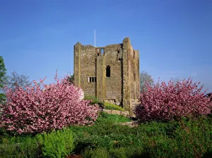 Castles Prints: Guildford Castle, Surrey, England, United Kingdom, Europe