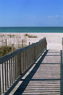 Florida Prints: Gulf coast