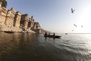 Gull Prints: Gull flying over Ganga River in Varanasi, Uttar Pradesh, India, Asia