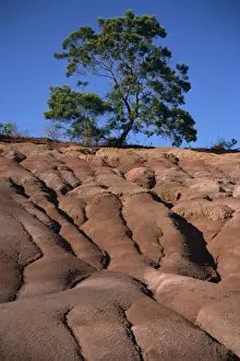 Kauai Prints: Gully erosion, Kauai, Hawaii, United States of America, Pacific, North America