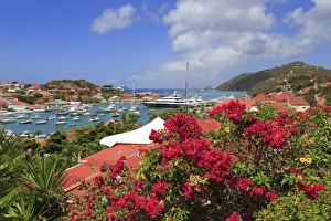 Gustavia Prints: Gustavia, St. Barthelemy (St. Barts)