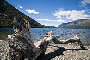 Dead Prints: Guttierez Lake in Estancia Peuma Hue, Lake District, Patagonia, Argentina, South America