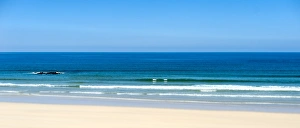 Gwithian beach in Cornwall, England, United Kingdom, Europe