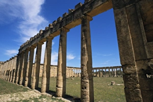 Gymnasium, Cyrene
