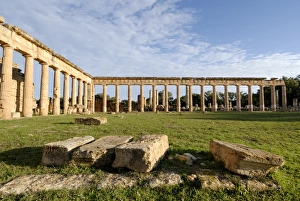 Forum Prints: Gymnasium and forum