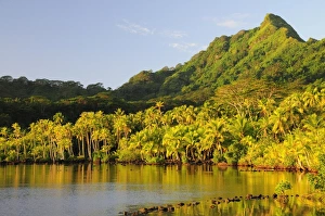 Images Dated 21st July 2008: Haapu Bay, Huahine, French Polynesia, South Pacific Ocean, Pacific