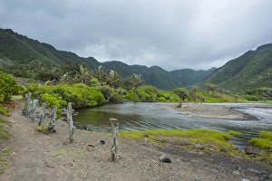 Molokai Prints: Halawa stream in the Halawa Bay on the island of Molokai