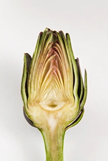 Vege Table Prints: Half artichoke, Italy, Europe