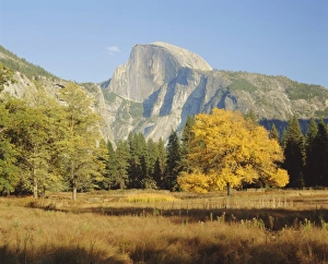 Half Dome Prints: Half Dome in the autumn