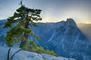 Images Dated 12th May 2009: Half Dome from Glacier Point, Yosemite National Park, UNESCO World Heritage Site