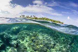 Borneo Prints: Half above and half below on a remote small Islet in the Badas Island Group off Borneo