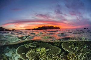 Indonesian Prints: Half above and half below view of the Komodo Diving Resort at sunset, Sebayur Island