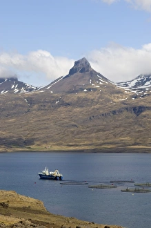 Fjords Prints: Hamarsfjordur fjord, South coast, Iceland, Polar Regions