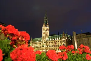 Alt Stadt Prints: Hamburg City Hall in the Altstadt (Old Town)