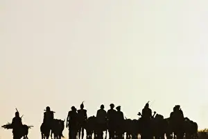 Large Group Of Animals Prints: Hamer (Hamar) people walking back from bull jumping ceremony