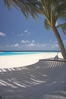 Images Dated 14th April 2009: Hammock on beach, Maldives, Indian Ocean, Asia